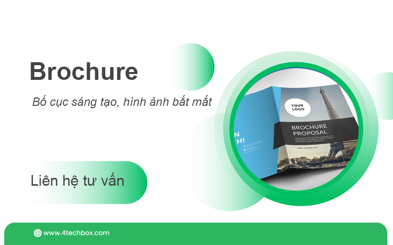 Thiết kế brochure